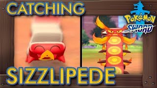 Pokémon Sword amp Shield  How to Get Sizzlipede amp Centiskorch [upl. by Nell]