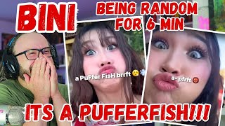 A pufferfish Reacting to BINI being random for 6 minutes [upl. by Selway19]