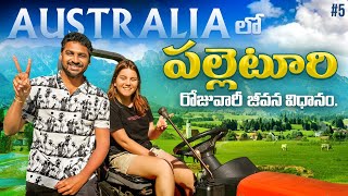 Daily Iife In Village  Melbourne Australia 🇦🇺  Uma Telugu Traveller [upl. by Cyrie]