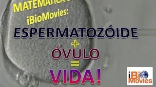 Espermatozoide  Óvulo  Vida  iBiomovies [upl. by Nettirb670]