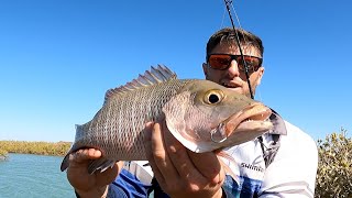 Winter Mangrove Jacks are a thing in Karratha [upl. by Notsuj]