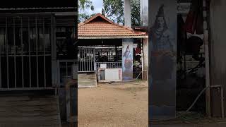 Ettumanoor temple Nandikeshan [upl. by Virgy]