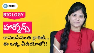 HORMONES IN HUMAN BODY IN TELUGU  ENDOCRINE SYSTEM  BEST BIOLOGY CLASSES IN TELUGU SARITHA MADAM [upl. by Ahsenroc]