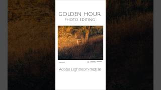 Adobe Lightroom editing shorts editingtutorial lightroom [upl. by Ahsiyn43]