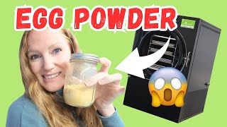 How I Made My Own EGG POWDER A Step by Step Guide [upl. by Ajiat559]