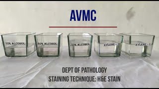 Hematoxylin amp Eosin Staining Procedure Principle with Video Lecture [upl. by Hamnet382]