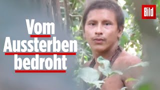 Isoliertes IndianerVolk im AmazonasGebiet gefilmt [upl. by Geier]