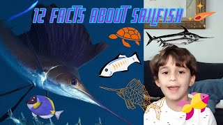 Sailfish Facts  Istiophorus billfish  The Fastest Fish [upl. by Ardnasirk473]