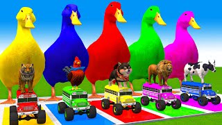 5 Giant Duck CartoonCowMammothDogTRexLionTiger Paint Wild Animals Crossing Fountain Animation [upl. by Brunelle]