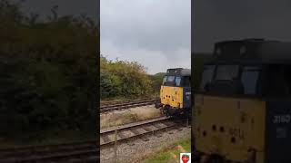 Class 31 601 passes Pitsford Sidings shorts [upl. by Pancho]