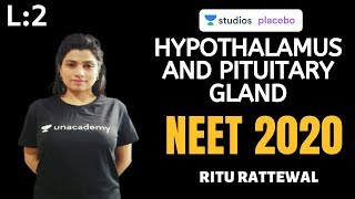 L2 Hypothalamus and Pituitary Gland  Endocrine System  Premedical  NEETAIIMS  NEET 2020 [upl. by Hsekin]