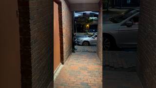 Guess Who Showed Up in the Alley funny shortvideos fypシ゚viral short shorts shortvideo [upl. by Catlee692]