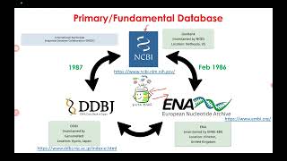 GenBank Tutorial  How To Use GenBank Format [upl. by Ophelie]