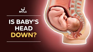 Baby Head Down Position Symptoms  How To Know Baby Head Down Position  Mylo Family [upl. by Eimor396]