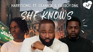 Harrysong  She Knows Lyrics ft Fireboy DML amp Olamide  Songish [upl. by Haseena]