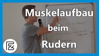 MUSKELAUFBAU durch RUDERN  Muskelaufbau zuhause [upl. by Carmita]