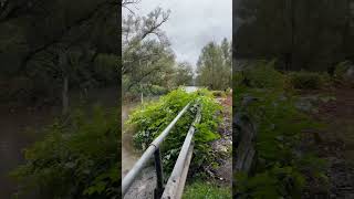 Aktuell Hochwasser an der Mosel Pegelstand steigt nach Hurrikan hochwasser mosel trier hurricane [upl. by Jereme]