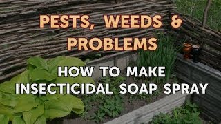 How to Make Insecticidal Soap Spray [upl. by Conchita574]