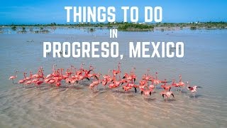 Things to do in Progreso Yucatan Mexico [upl. by Eikcuhc]