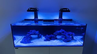 Intro to my Waterbox Frag 1054 [upl. by Getraer]