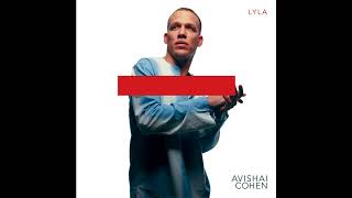 Avishai Cohen  Ascension [upl. by Artair964]