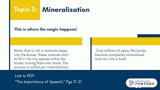 Flipped Classroom Assignment The Process of Fossilization [upl. by Yakcm]