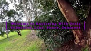 Walking Sir Fry Reserve Highett Melbourne Victoria Australia [upl. by Fasa]