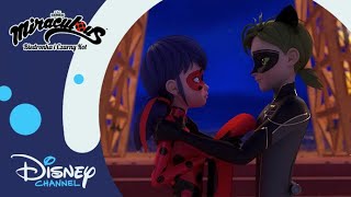 😻 Po prostu ideał  Miraculous Biedronka i Czarny Kot  Disney Channel Polska [upl. by Oile278]