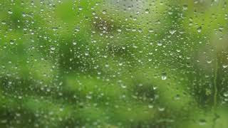 gentle rain sounds for sleeping 3 hours  Relaxing Rain on window  insomniameditationstudy [upl. by Wyck]