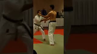 OKINAWAN KARATE CONDITIONING [upl. by Aloel]