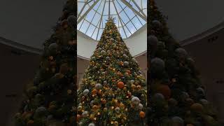 christmas tree at Mapleview Mall shorts [upl. by Azer]