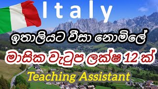 ඉතාලියට වීසා නොමිලේ වැටුප් ලක්ෂ 12 ක් teaching assistant foreign job vacancies in italy free visa [upl. by Fennell]