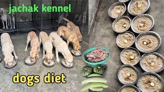 Best balanced homemade Dog Food for Adult dogs 🐕doglover dogfood trendingvideo youtube dogs [upl. by Bern267]