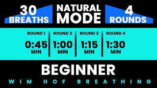 Beginner Wim Hof Guided Breathing  4 Rounds  30 Breaths  Pure Breathwork No Frequencies [upl. by Herr]