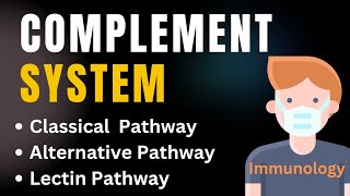 Complement system pathways in immunology Animation  Classical Alternative amp Lectin pathways [upl. by Enneillij]