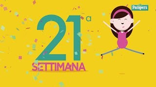 21° settimana di gravidanza [upl. by Hazrit852]