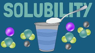 How Solubility and Dissolving Work [upl. by Annaliese]