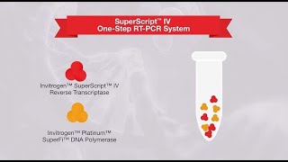 1step vs 2step RTPCR—which one is right for your application [upl. by Rosmarin]