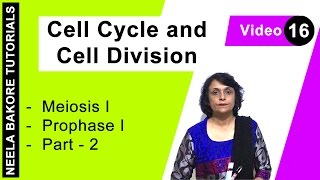 Cell Cycle amp Cell Division  NEET  Meiosis I  Prophase I  Part  2  Neela Bakore Tutorials [upl. by Nus46]