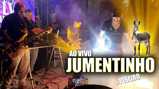 MARY e TÚLIO  Jumentinho AO VIVO cover [upl. by Gilman]