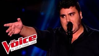 Jacques Brel  Ces gens là  Yoann Launay  The Voice France 2015  Blind Audition [upl. by Yanetruoc]