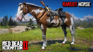 All 4 Rare American Paint Horses Location amp Rankings  RDR 2 [upl. by Oster]