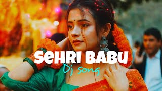 Sehri Babu Dil Lehri Babu 🥀 Dj Remix 🎧  Hindi Song [upl. by Eremaj]