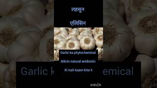 Garlic  Allicin  Nutritiondupe7691 [upl. by Eiznyl]