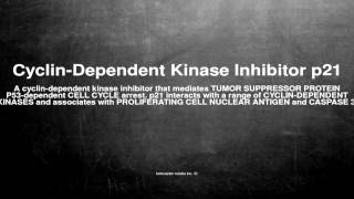 Medical vocabulary What does CyclinDependent Kinase Inhibitor p21 mean [upl. by Volnay]