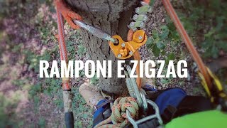 BASI di Treeclimbing  come salire su un albero con i ramponi e discesa con petzl zigzag [upl. by Matelda132]