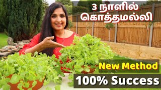 வேகமாக கொத்தமல்லி வளர்க்கும் முறை  Fastest Coriander Growing Method No one told you before Herbs [upl. by Artim271]