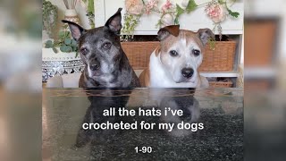 All the hats I’ve crocheted for my dogs 190 cute and funny freehanded crochet patterns [upl. by Cumine]