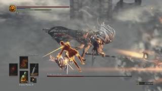 DARK SOULS™ III Lothric Knight Greatsword Vs Nameless King Coop [upl. by Kasey294]