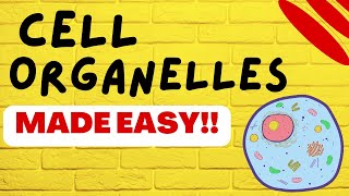 Cell Biology Cell Organelles explained in 5 minutes [upl. by Viola]